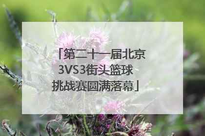 第二十一届北京3VS3街头篮球挑战赛圆满落幕