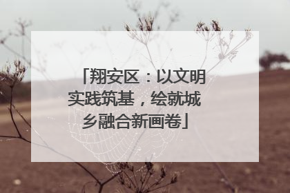 翔安区：以文明实践筑基，绘就城乡融合新画卷