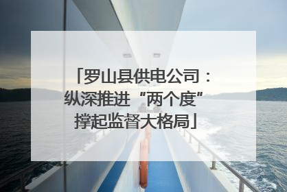 罗山县供电公司：纵深推进“两个度” 撑起监督大格局