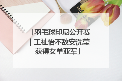 羽毛球印尼公开赛｜王祉怡不敌安洗莹 获得女单亚军