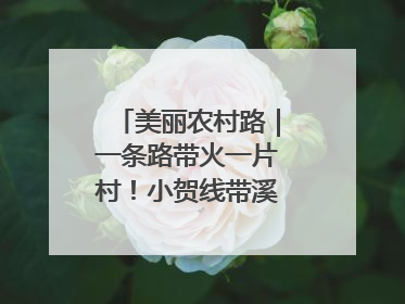 美丽农村路｜一条路带火一片村！小贺线带溪望谷成团出道
