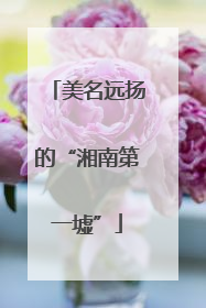 美名远扬的“湘南第一墟”