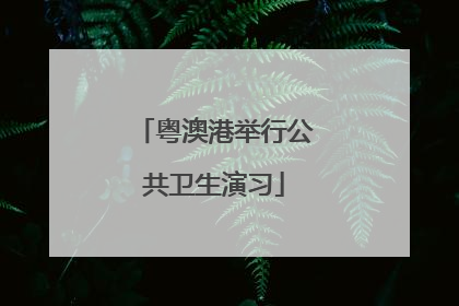 粤澳港举行公共卫生演习