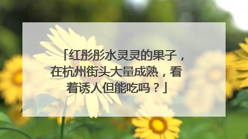 红彤彤水灵灵的果子，在杭州街头大量成熟，看着诱人但能吃吗？