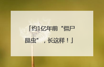 约1亿年前“僵尸昆虫”，长这样！