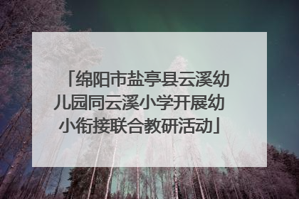 绵阳市盐亭县云溪幼儿园同云溪小学开展幼小衔接联合教研活动