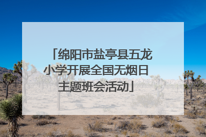 绵阳市盐亭县五龙小学开展全国无烟日主题班会活动