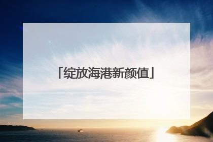 绽放海港新颜值