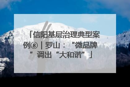 信阳基层治理典型案例⑧｜罗山：“微品牌”调出“大和谐”