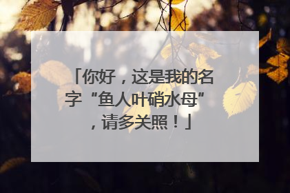 你好，这是我的名字“鱼人叶硝水母”，请多关照！