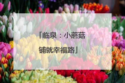 临泉：小蘑菇铺就幸福路