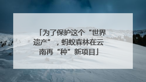 为了保护这个“世界遗产”，蚂蚁森林在云南再“种”新项目