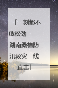 一刻都不敢松劲——湖南桑植防汛救灾一线直击