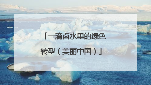 一滴卤水里的绿色转型（美丽中国）