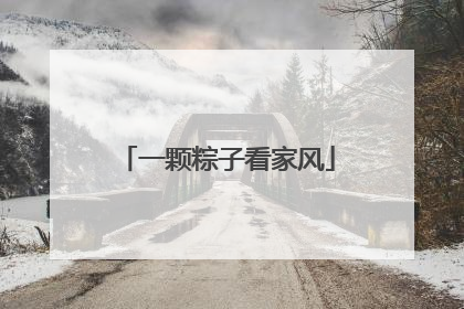 一颗粽子看家风