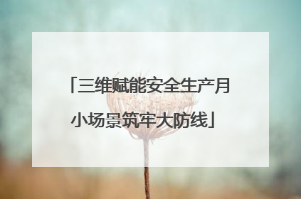 三维赋能安全生产月 小场景筑牢大防线