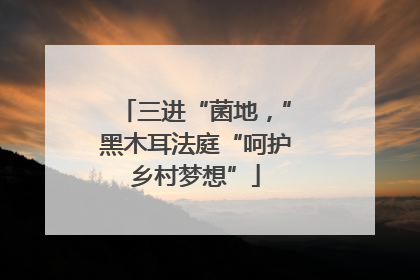 三进“菌地，”黑木耳法庭“呵护乡村梦想”
