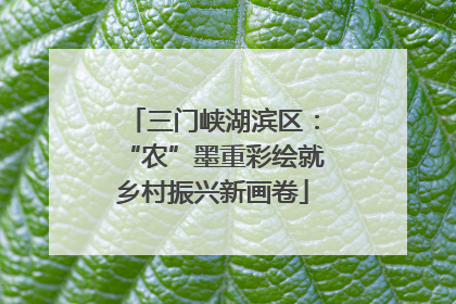 三门峡湖滨区：“农”墨重彩绘就乡村振兴新画卷