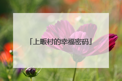 上畈村的幸福密码