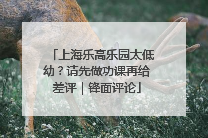 上海乐高乐园太低幼？请先做功课再给差评｜锋面评论