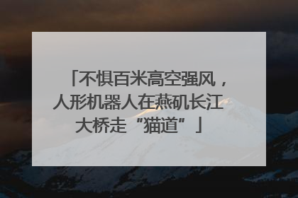 不惧百米高空强风，人形机器人在燕矶长江大桥走“猫道”