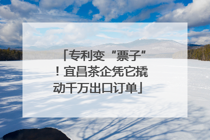 专利变“票子”！宜昌茶企凭它撬动千万出口订单