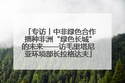 专访丨中非绿色合作播种非洲“绿色长城”的未来——访毛里塔尼亚环境部长拉格达夫