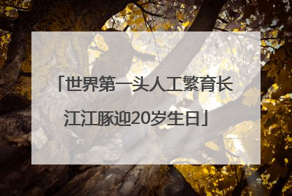世界第一头人工繁育长江江豚迎20岁生日