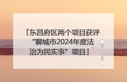 东昌府区两个项目获评“聊城市2024年度法治为民实事”项目