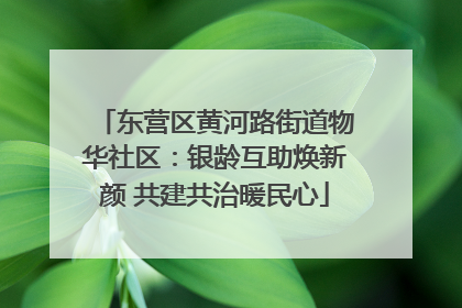 东营区黄河路街道物华社区：银龄互助焕新颜 共建共治暖民心