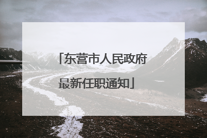 东营市人民政府最新任职通知