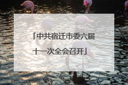 中共宿迁市委六届十一次全会召开