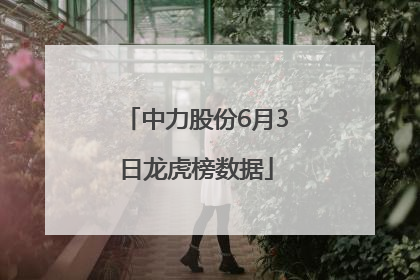 中力股份6月3日龙虎榜数据