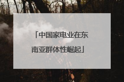 中国家电业在东南亚群体性崛起