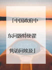 中国政府中东问题特使翟隽访问埃及