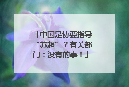 中国足协要指导“苏超”？有关部门：没有的事！
