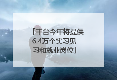 丰台今年将提供6.4万个实习见习和就业岗位