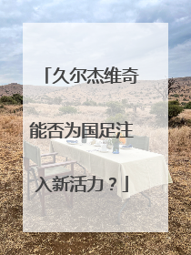 久尔杰维奇能否为国足注入新活力？