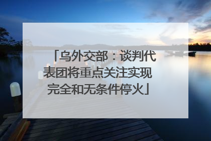 乌外交部：谈判代表团将重点关注实现完全和无条件停火