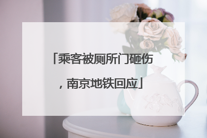 乘客被厕所门砸伤，南京地铁回应
