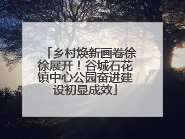 乡村焕新画卷徐徐展开！谷城石花镇中心公园奋进建设初显成效