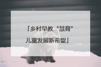 乡村早教“慧育”儿童发展新希望