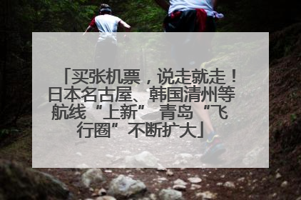 买张机票，说走就走！日本名古屋、韩国清州等航线“上新” 青岛“飞行圈”不断扩大