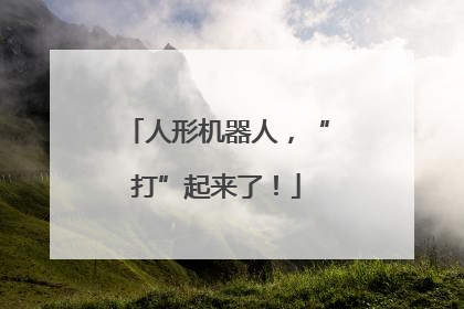 人形机器人，“打”起来了！