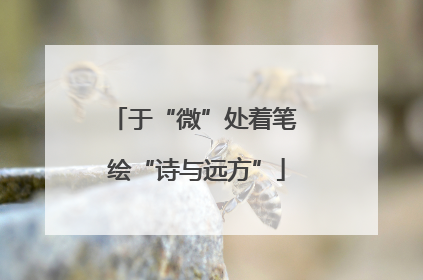 于“微”处着笔 绘“诗与远方”