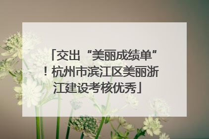 交出“美丽成绩单”！杭州市滨江区美丽浙江建设考核优秀