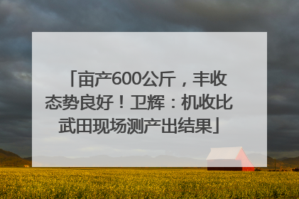 亩产600公斤，丰收态势良好！卫辉：机收比武田现场测产出结果