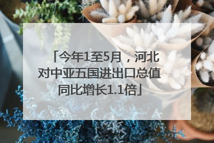 今年1至5月，河北对中亚五国进出口总值同比增长1.1倍
