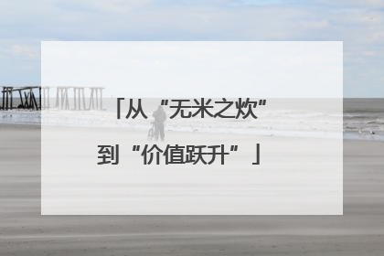 从“无米之炊”到“价值跃升”