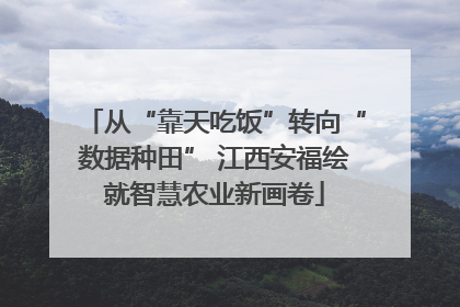 从“靠天吃饭”转向“数据种田” 江西安福绘就智慧农业新画卷